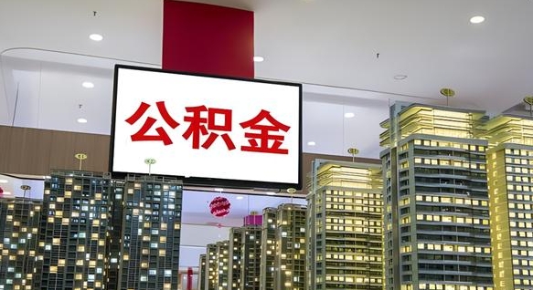 南城公积金怎么取（市公积金怎么取）
